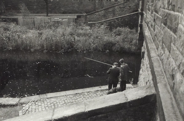 BW200-1-100-13-2 image BW200-1-100-13-2