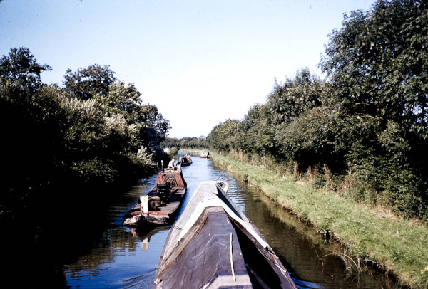 BW197-2-34-13-2 image BW197-2-34-13-2