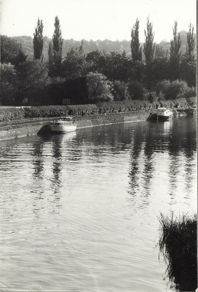 BW200-1-96-13-2 image BW200-1-96-13-2