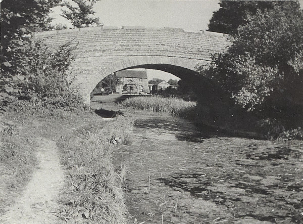 BW200-1-7-13-2 image BW200-1-7-13-2