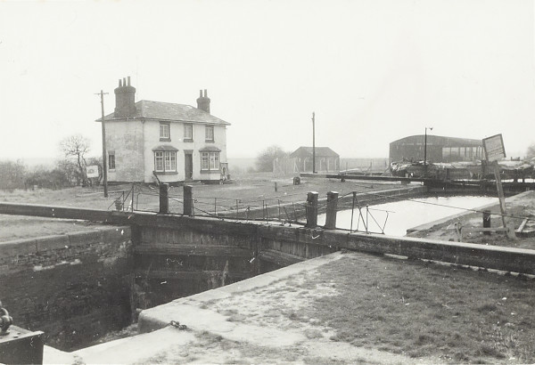 BW200-1-23-2 image BW200-1-23-2