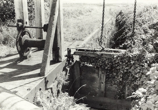 BW200-1-81-23-2 image BW200-1-81-23-2