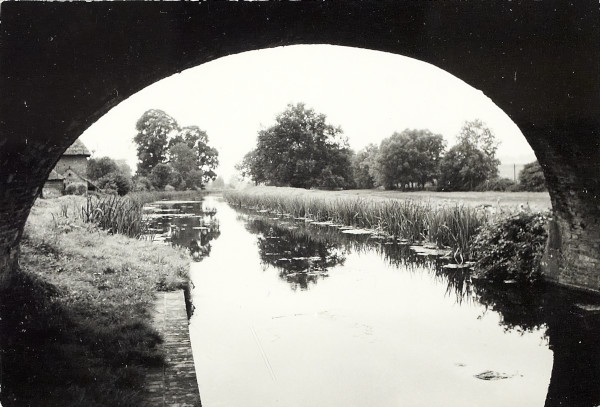 BW200-1-47-33-2 image BW200-1-47-33-2