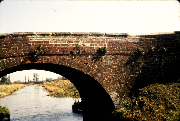 BW197-2-12-4-2 image BW197-2-12-4-2