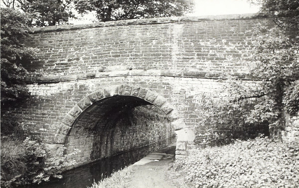 BW200-1-73-4-2 image BW200-1-73-4-2