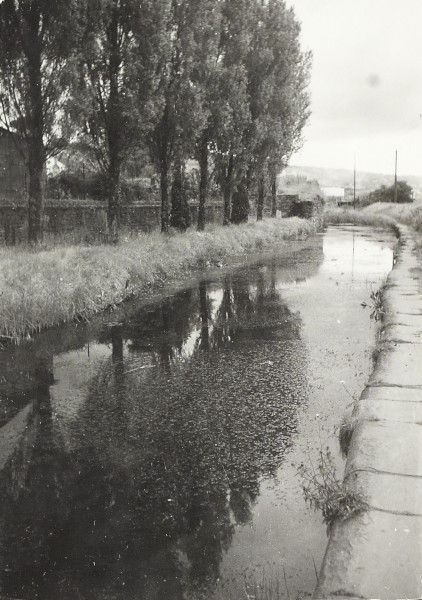 BW200-1-64-4-2 image BW200-1-64-4-2