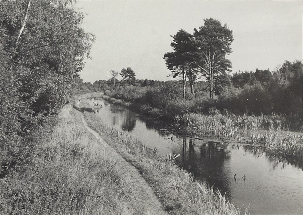 BW200-1-7-14-2 image BW200-1-7-14-2