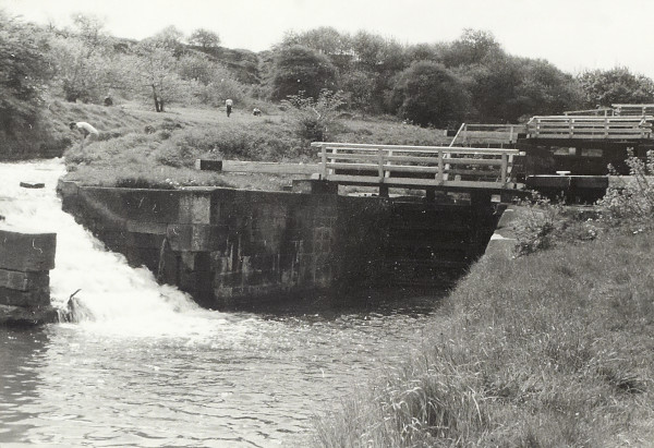 BW200-1-52-1-24-2 image BW200-1-52-1-24-2