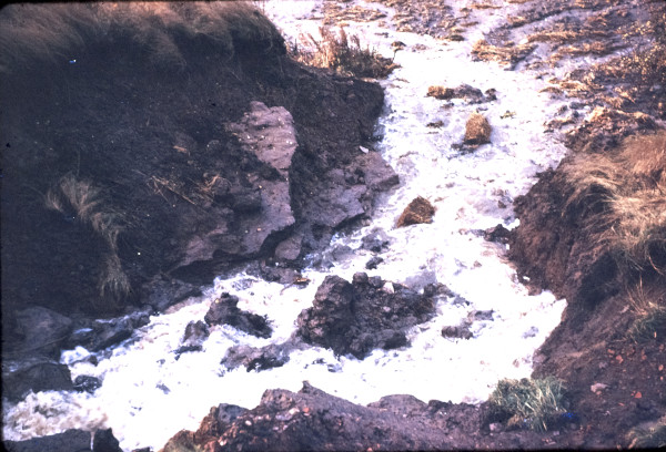 BW197-2-34-24-2 image BW197-2-34-24-2