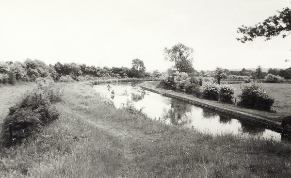 BW200-1-99-74-2 image BW200-1-99-74-2
