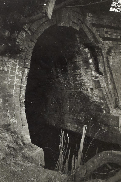 BW200-1-51-5-2 image BW200-1-51-5-2