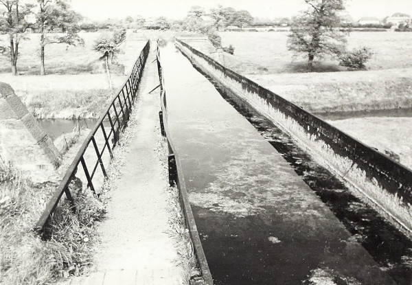 BW200-1-81-5-2 image BW200-1-81-5-2