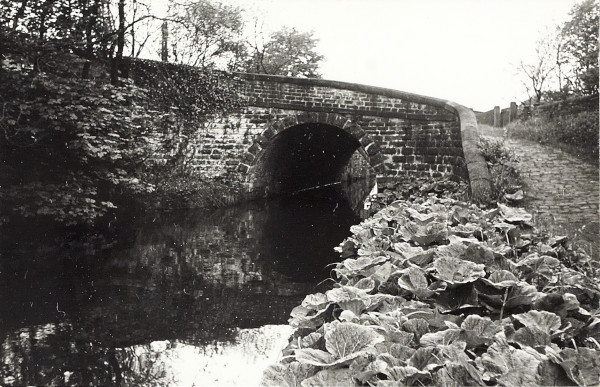 BW200-1-73-5-2 image BW200-1-73-5-2