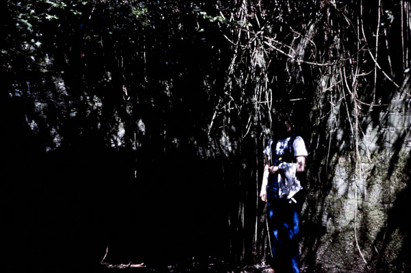 BW197-2-27-15-2 image BW197-2-27-15-2