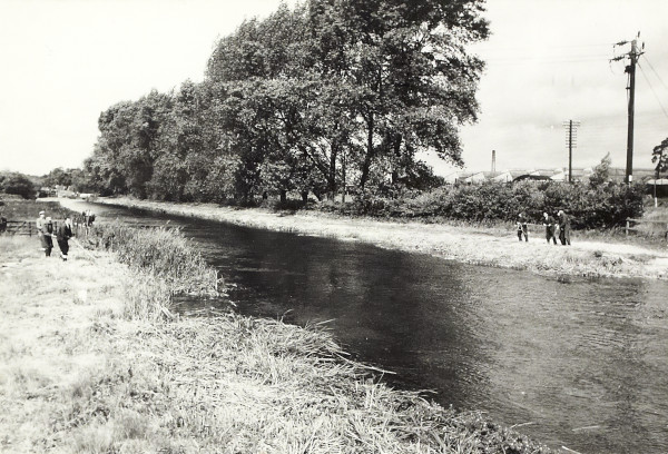 BW200-1-47-35-2 image BW200-1-47-35-2