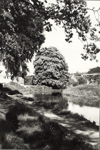 BW200-1-47-55-2 image BW200-1-47-55-2
