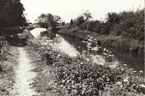 BW200-1-85-2 image BW200-1-85-2