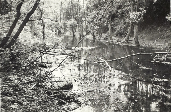 BW200-1-51-6-2 image BW200-1-51-6-2