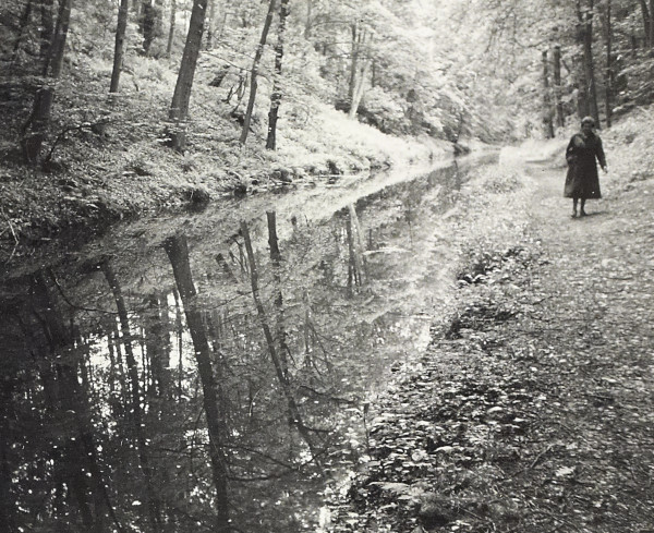 BW200-1-55-6-2 image BW200-1-55-6-2