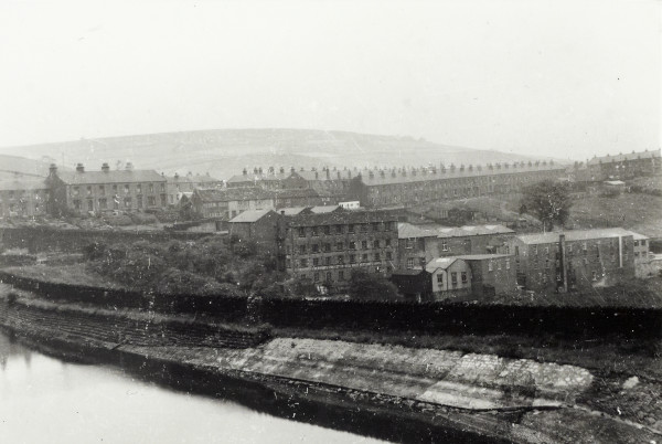 BW192-3-1-29-6-2 image BW192-3-1-29-6-2