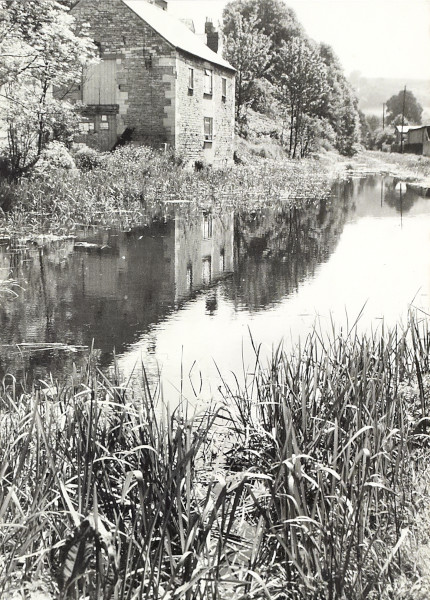 BW200-1-97-26-2 image BW200-1-97-26-2