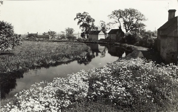 BW200-1-89-26-2 image BW200-1-89-26-2