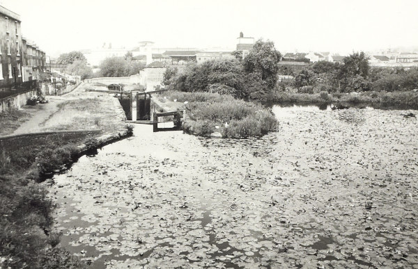 BW200-1-47-46-2 image BW200-1-47-46-2