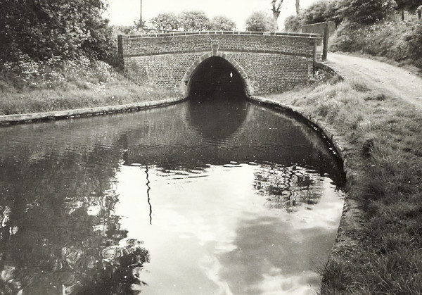 BW200-1-99-46-2 image BW200-1-99-46-2