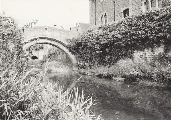 BW200-1-5-7-2 image BW200-1-5-7-2