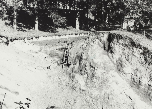 BW192-3-1-36-7-2 image BW192-3-1-36-7-2