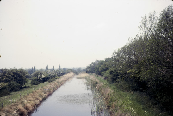 BW197-2-30-17-2 image BW197-2-30-17-2