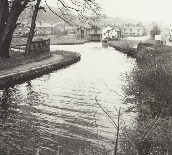 BW192-3-2-1-17-2 image BW192-3-2-1-17-2