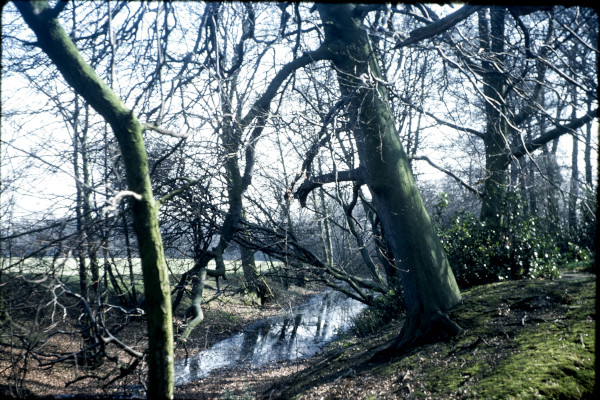 BW197-2-22-17-2 image BW197-2-22-17-2