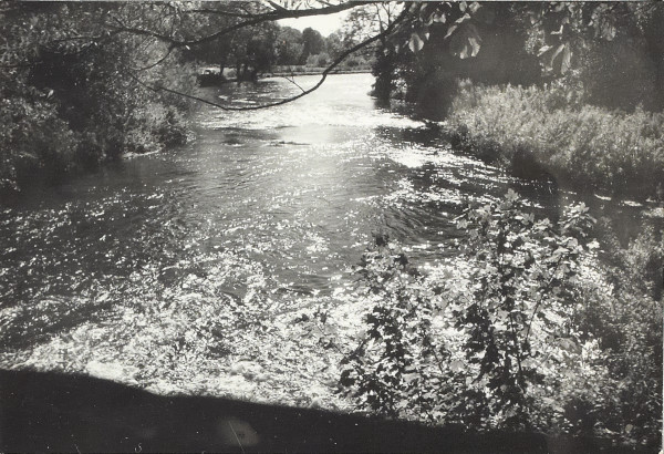 BW200-1-96-17-2 image BW200-1-96-17-2