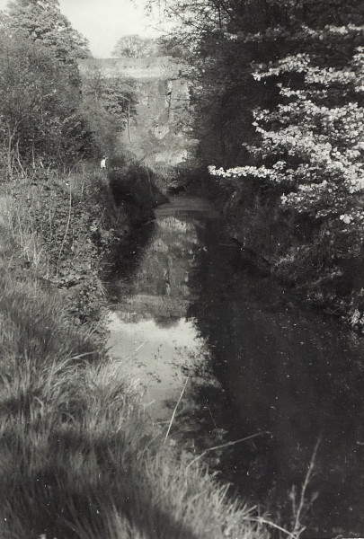 BW200-1-52-1-27-2 image BW200-1-52-1-27-2