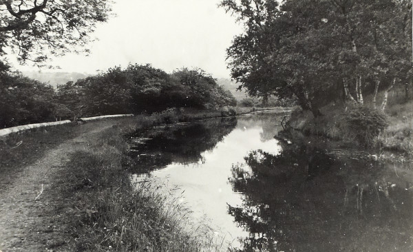 BW200-1-73-27-2 image BW200-1-73-27-2