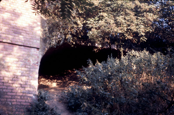 BW197-2-34-27-2 image BW197-2-34-27-2