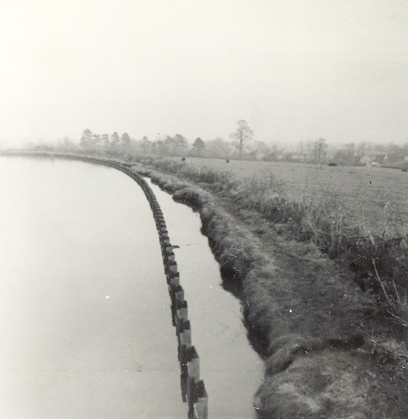 BW192-2-87-2 image BW192-2-87-2