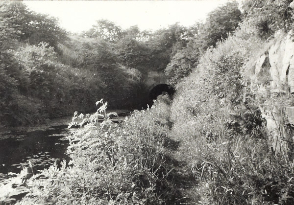 BW200-1-100-8-2 image BW200-1-100-8-2