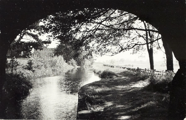 BW200-1-81-8-2 image BW200-1-81-8-2