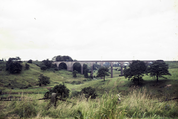 BW197-2-6-8-2 image BW197-2-6-8-2