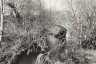 image BW200-1-16-8-2