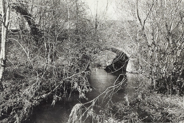 BW200-1-16-8-2 image BW200-1-16-8-2