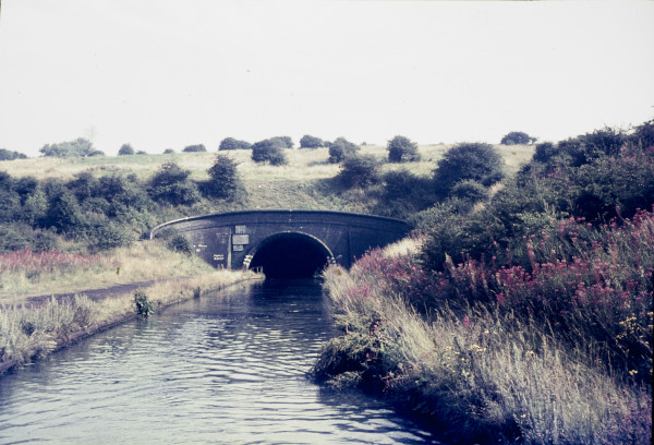 BW197-2-13-18-2 image BW197-2-13-18-2