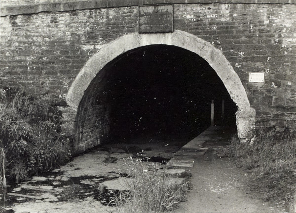 BW200-1-73-18-2 image BW200-1-73-18-2