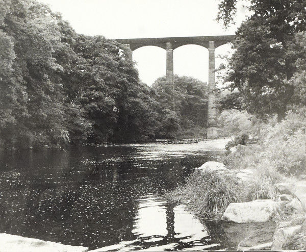 BW200-1-55-18-2 image BW200-1-55-18-2