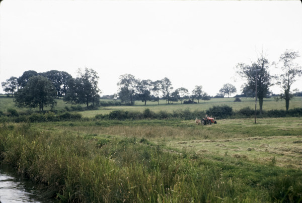 BW197-2-1-48-2 image BW197-2-1-48-2