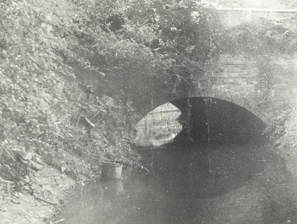 BW200-1-99-98-2 image BW200-1-99-98-2