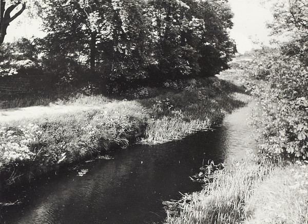 BW200-1-18-9-2 image BW200-1-18-9-2