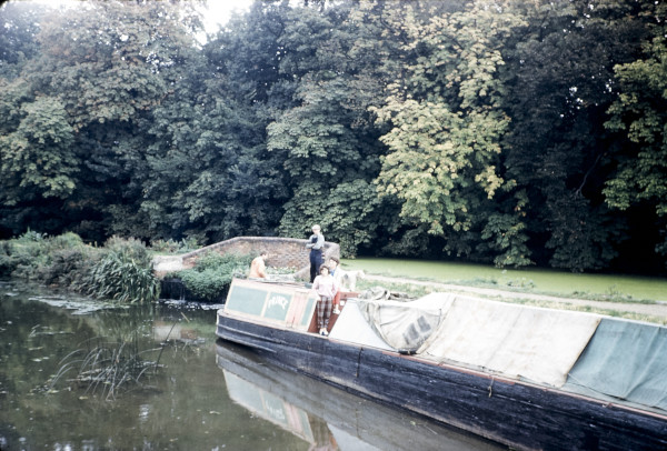 BW197-2-24-19-2 image BW197-2-24-19-2